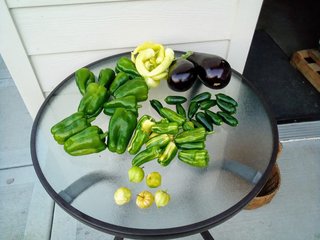 image0000001-10.jpg