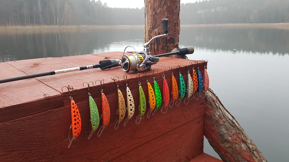 257766447-2070408723125297-7292864098519