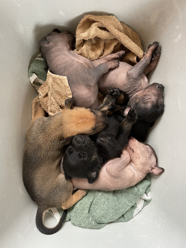 067D57F4-6050-447E-BFD1-32B61AE13F2F