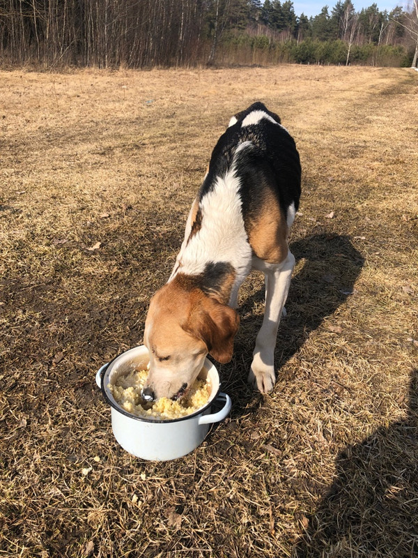 483D994F-DC7F-4CD4-92D9-383B996BA9C1