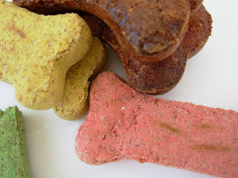 Dog Health Supplements Dog Health Supplements