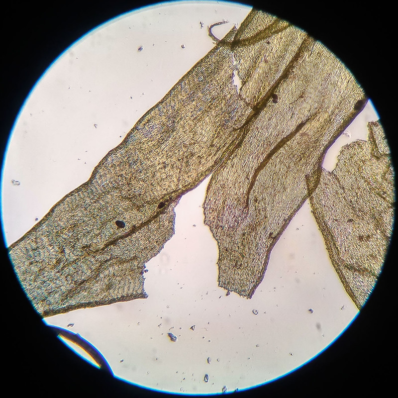 IMG 20250616 210348 HDR