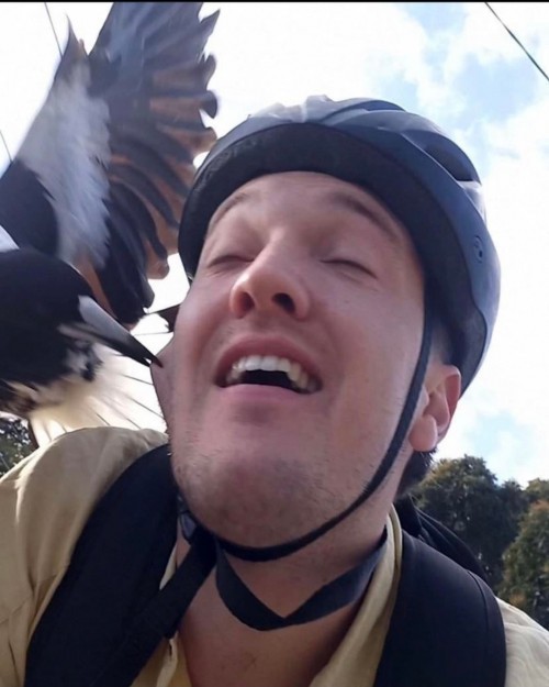thumbs-picdump747-050.jpg