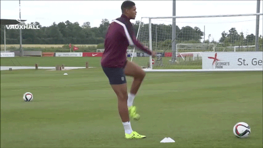 BULGE1.gif