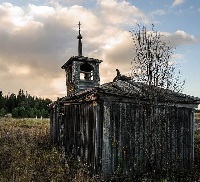 [Изображение: photo-2025-11-11-03-39-46.jpg]