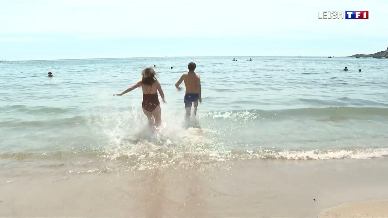 2021-06-11_13_00_TF1_Le-13h.mp4_snapshot_00.28.40.909