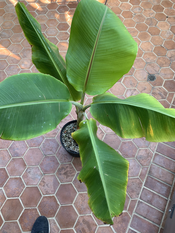 D4784C25-E1B5-4A1D-AD50-887FA44EC678