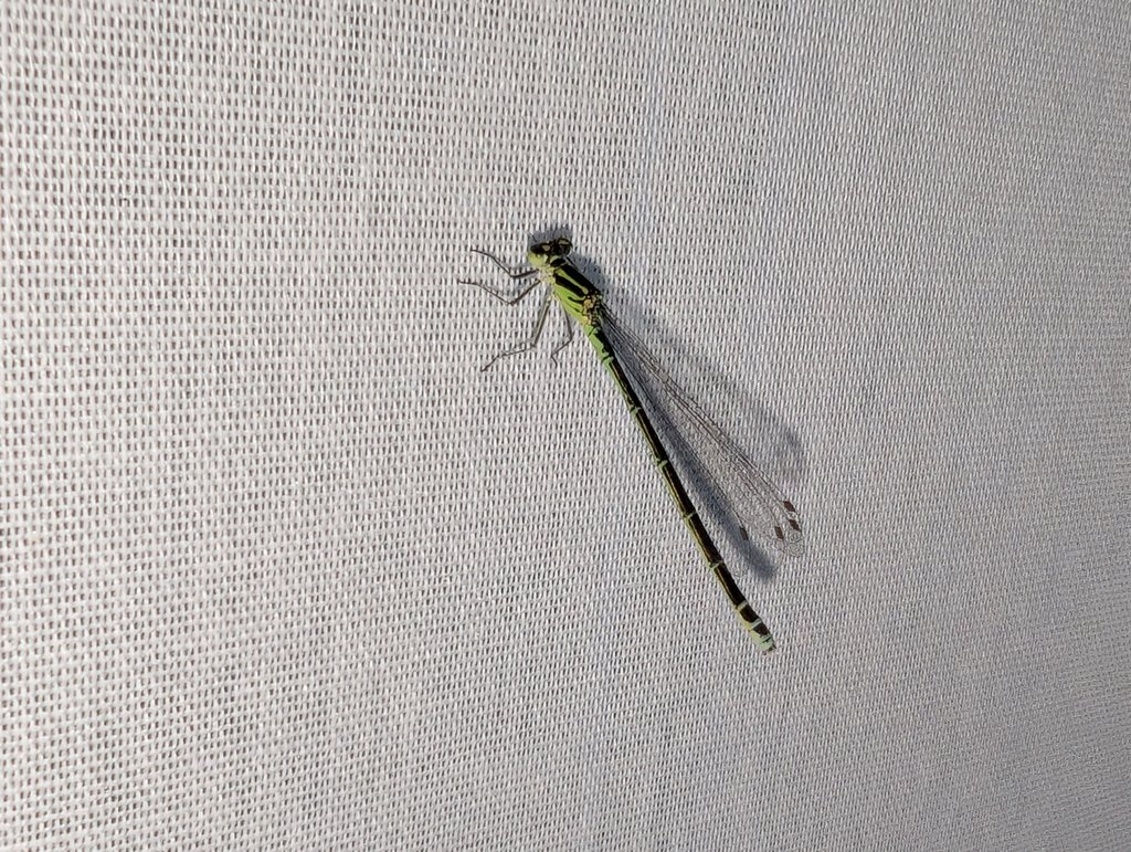 PXL_20250512_190512212