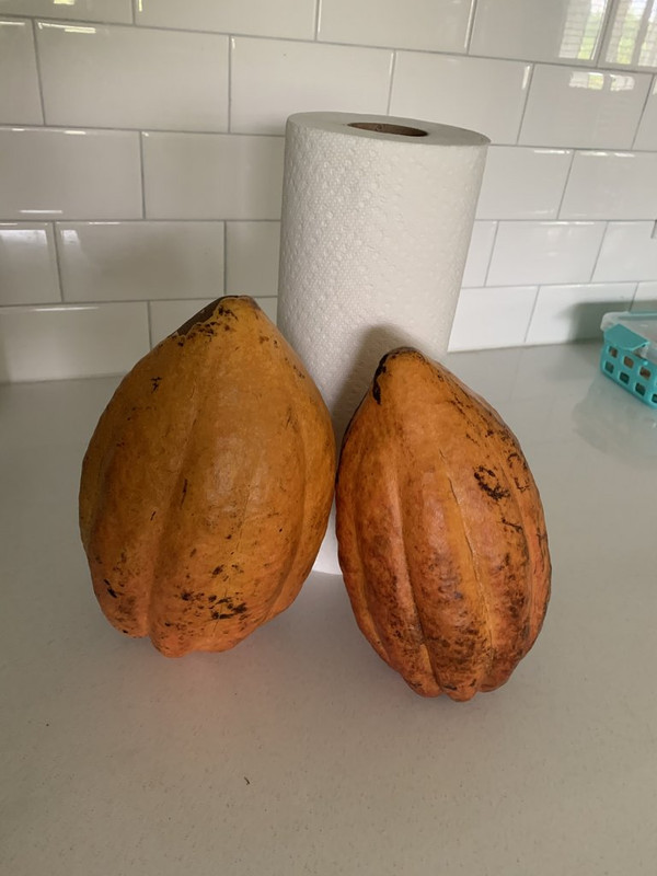 73E5440F-D2BE-45B9-95BA-46665B3F6B96