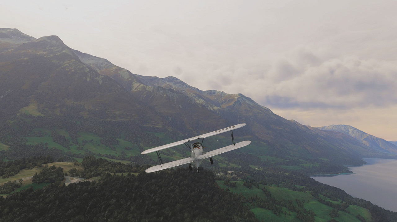 NZ-46m.jpg