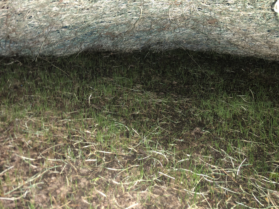 2708DFBD-B1C0-4D19-A7B6-85D6BC16A246