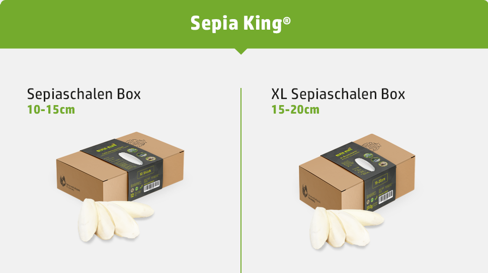Natürlicher Sepiaschulp von der Marke Sepia King