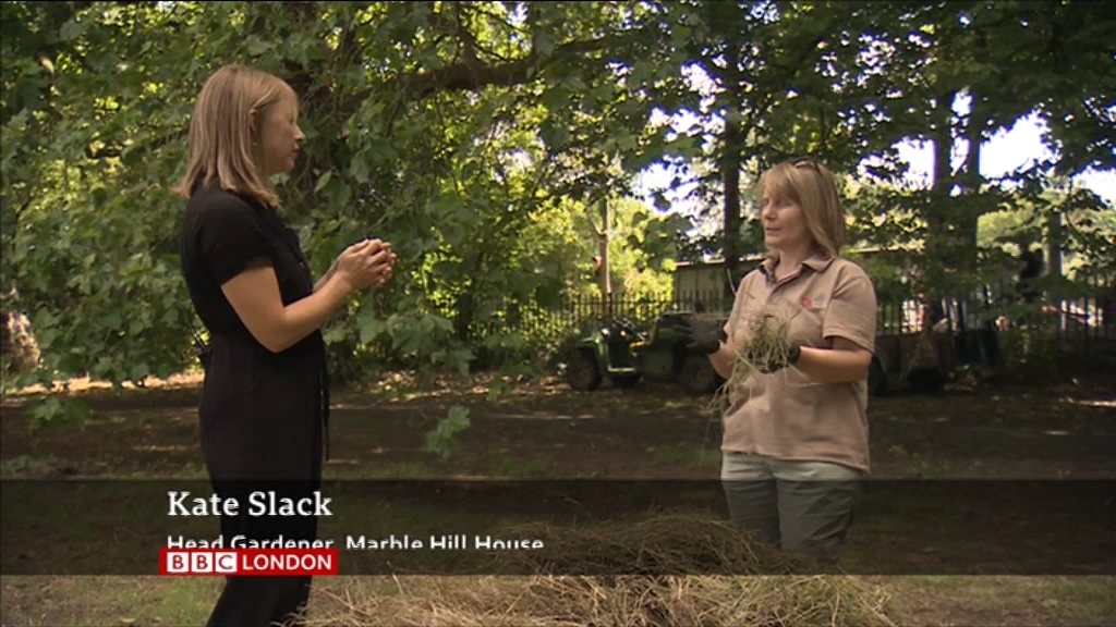 BBC London News_20200721_18301900.ts_snapshot_28.54.532