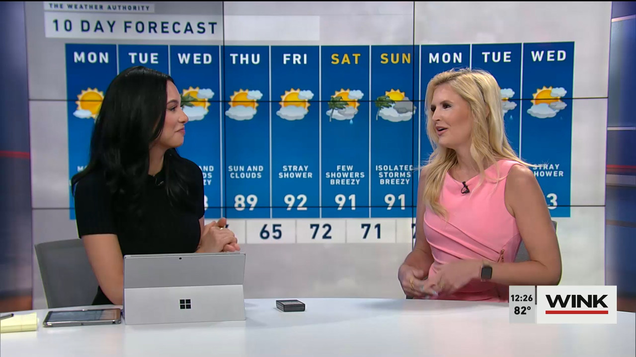 05.01 - 17.00.00 - The WINK Noon News  ᴺᵉʷ. Midday news update..ts_snapshot_32.30.155