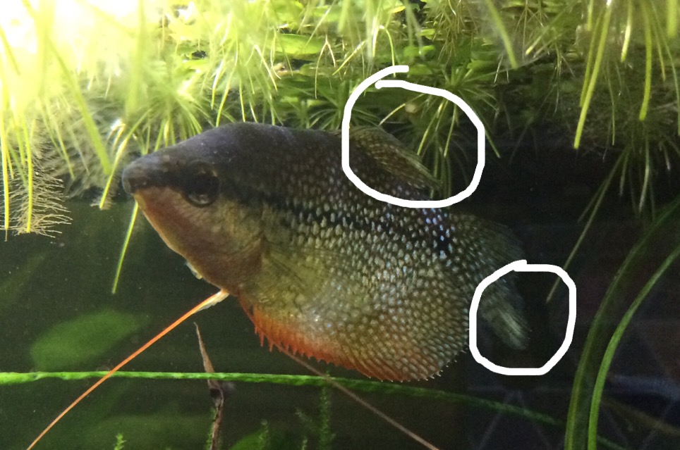 7BA480B7-1826-4E94-B382-56AC90F6C361