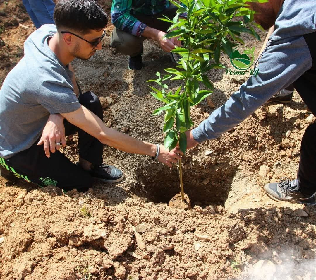 56f4e4082db5c36249ab76ec0a0e8700