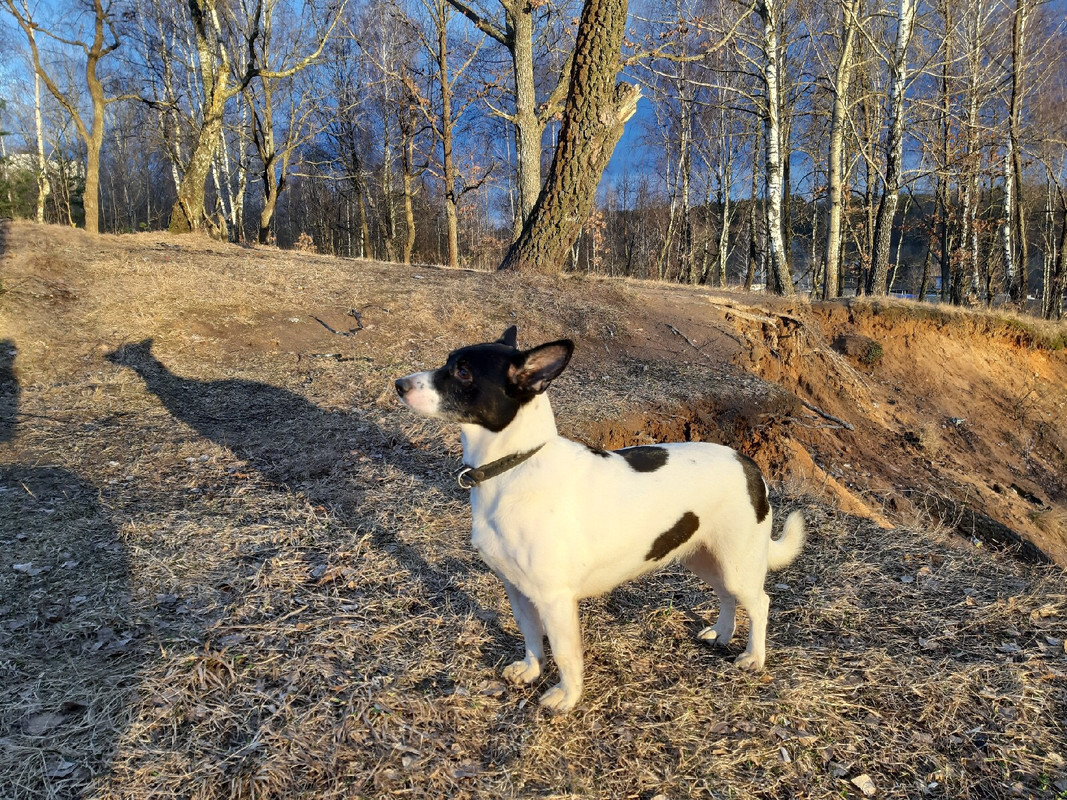 B17BD389-79E2-4232-9720-20E6609C14B2