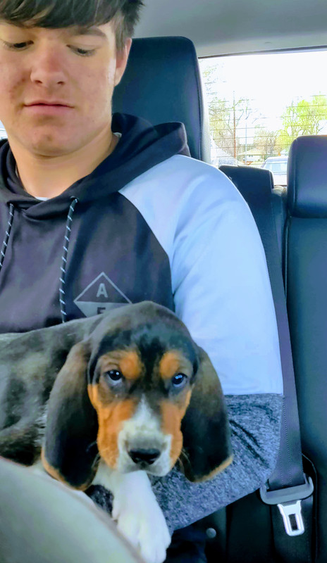 IMG_20210508_180123 (1)