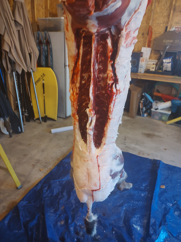 IMG_20231106_102748945