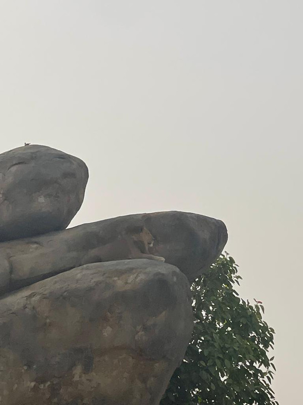 ���� ���� ������ �� ���� ������