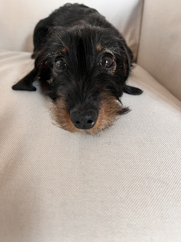 [Image: IMG-2795.jpg]