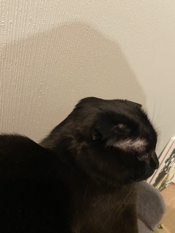 BFF887AF-AE53-4614-9EF9-2E5D0DD7DAB2