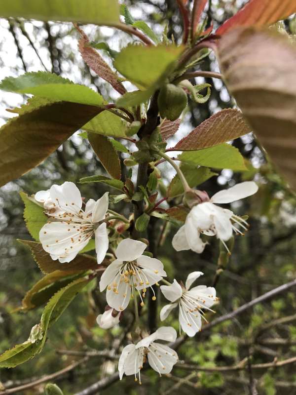 93272F3D-F381-4A74-BFE3-1287333D53D7