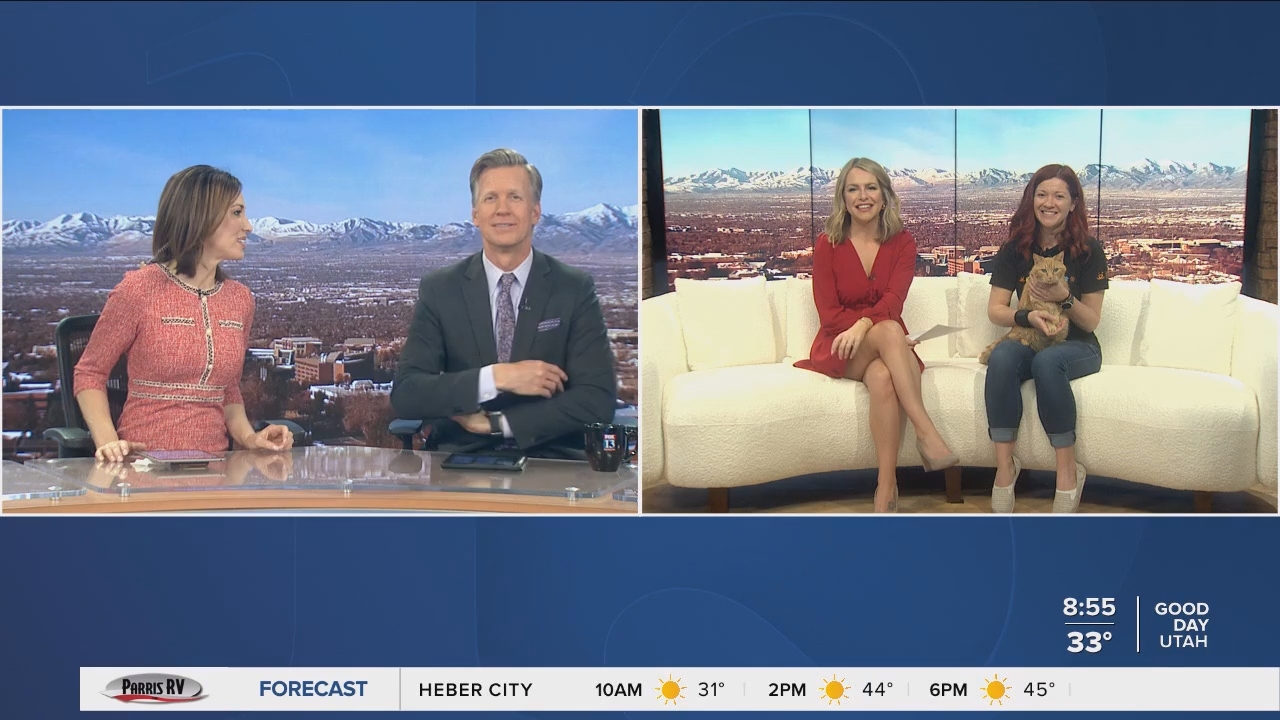 03.10 - 14.00.00 - FOX13 News  Good Day Utah 8AM  ᴺᵉʷ. Utah news, wea....ts_snapshot_57.04.288