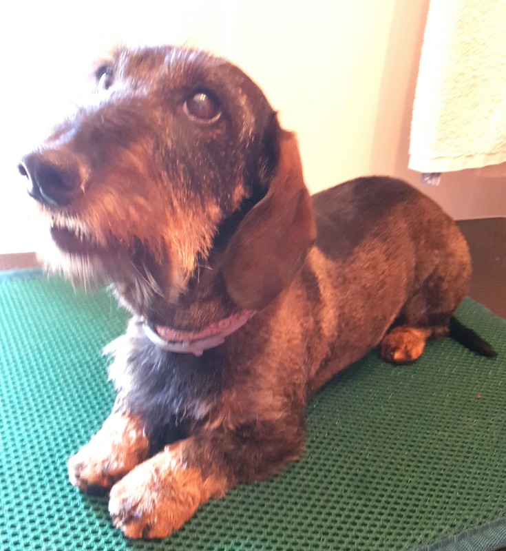 [Image: 20210727-213428.jpg]