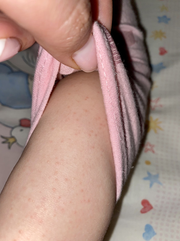 D2CF25AB-F5F3-48C5-B597-777736FA5A96