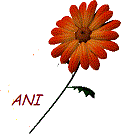 animaatjes-ani-1279213-1