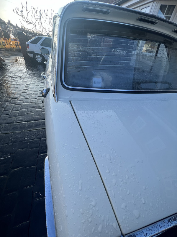 31C02A99-6857-4DA5-B1B2-6B5550D9AB97