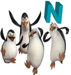 Los Pinguinos, de Madagascar N