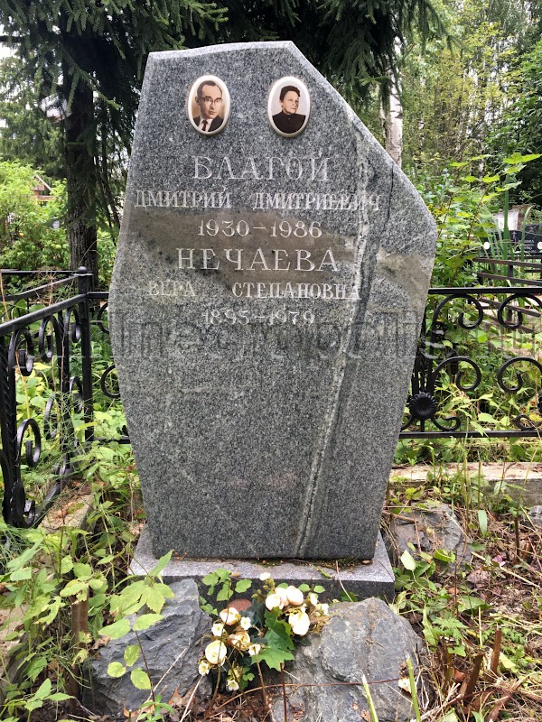 nechayeva