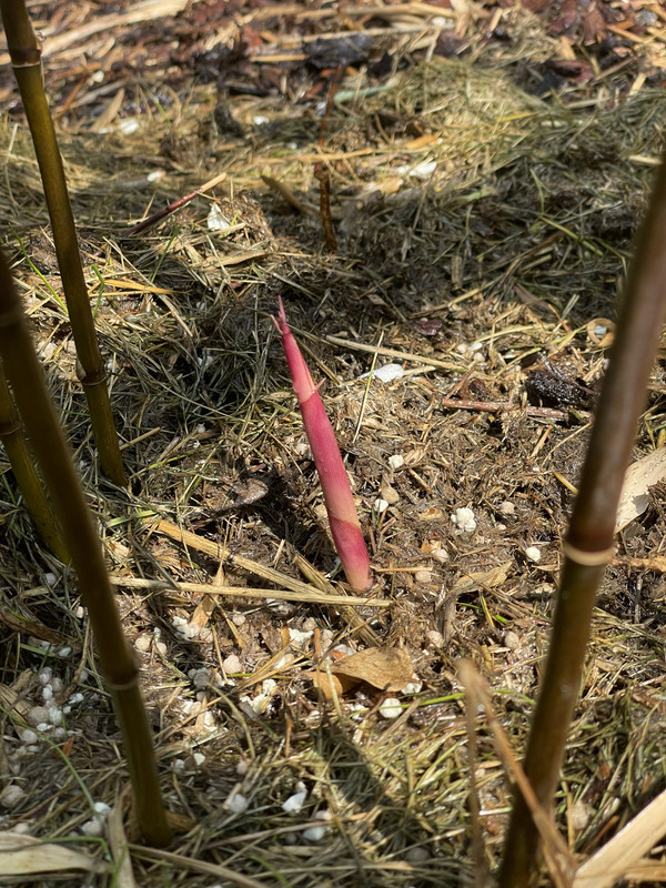 E15B4A19-E0D1-499C-AAD4-5BA23236E22F