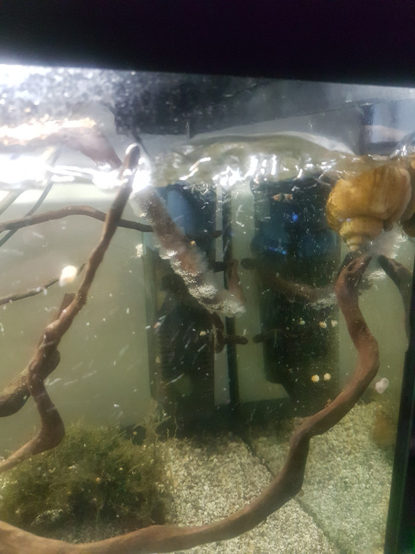 15676013536011965072159763412156