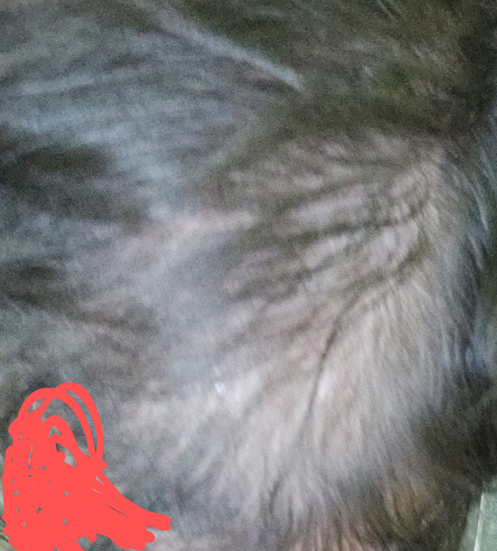 postimg.cc