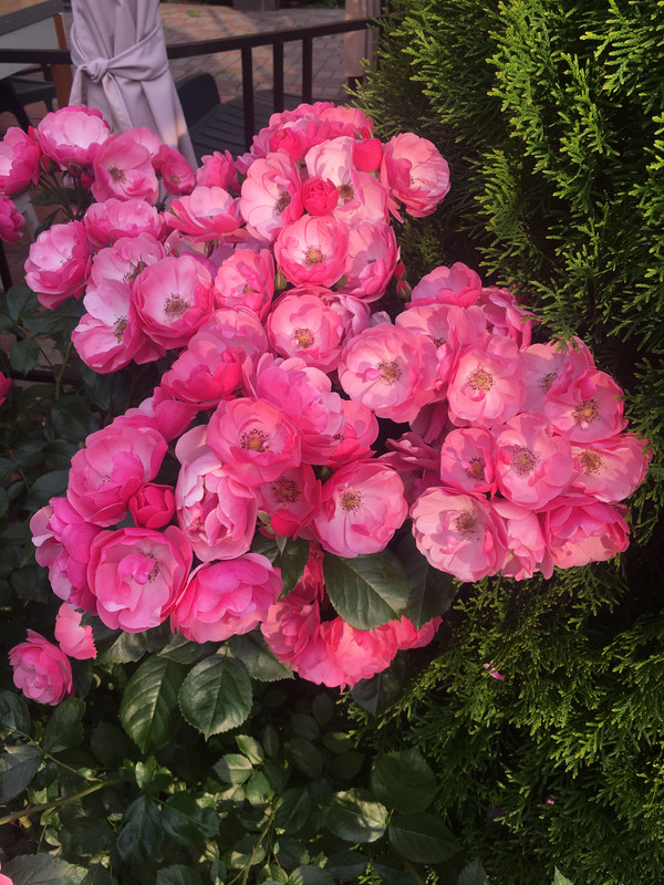 7CDA9B96-5A96-46E7-816F-7E728CA6E171