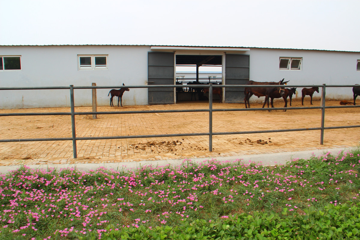 IMG_0141