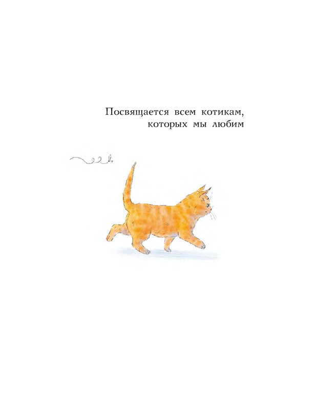 p0006