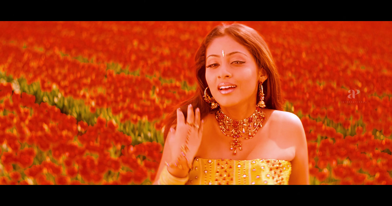 VideoCapture_20241122-200125