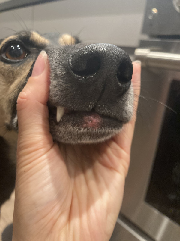 4DFBA5BB-E0E8-4696-AF24-E6F8AFDFE3D7