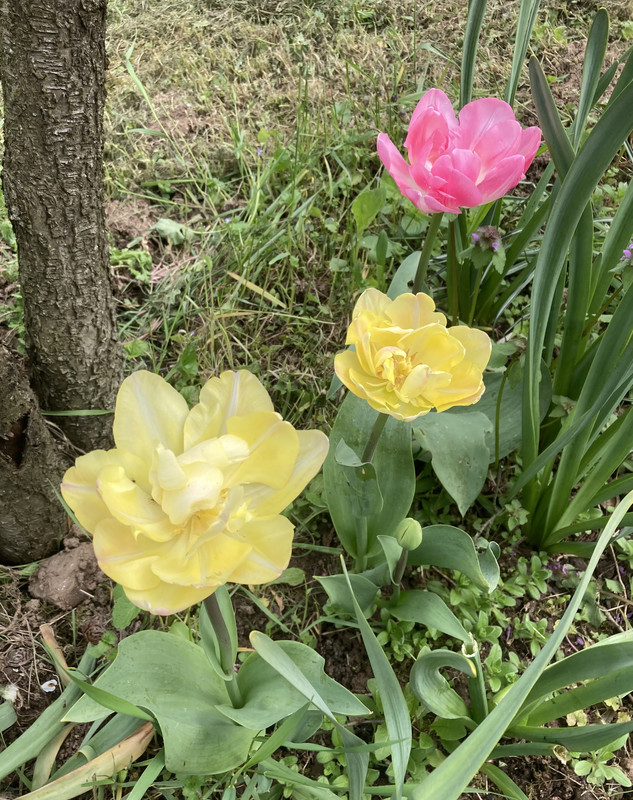 D6D1F3F2-AC4D-4B3C-832F-59DDBCF12958