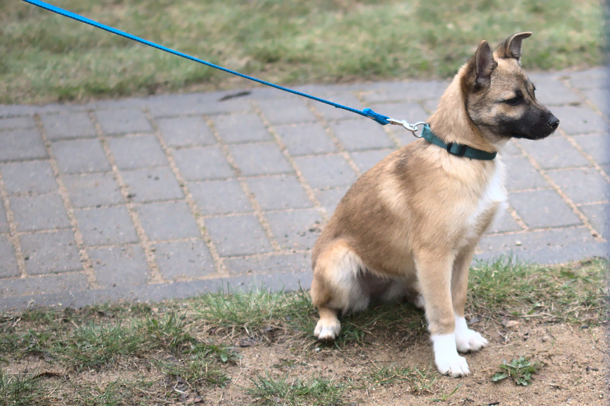 5DEB0E81-4AFD-4F93-A682-0AD1F1B957A0