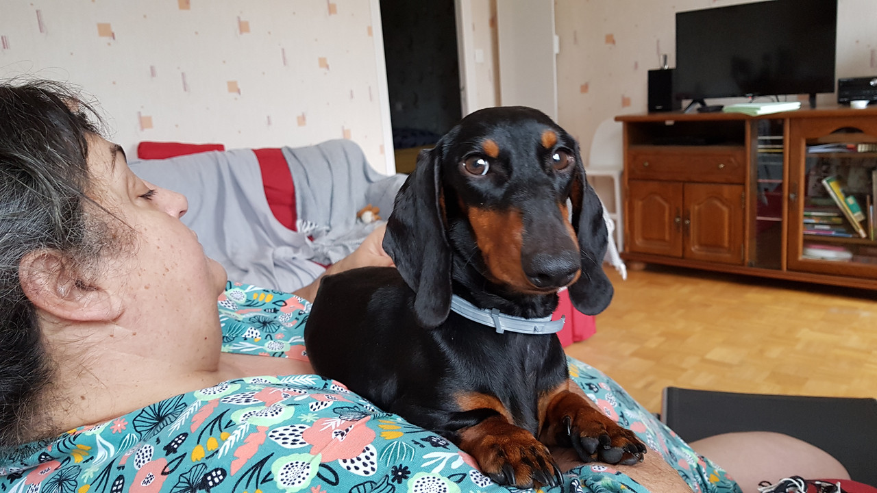 [Image: 20200922-084151.jpg]