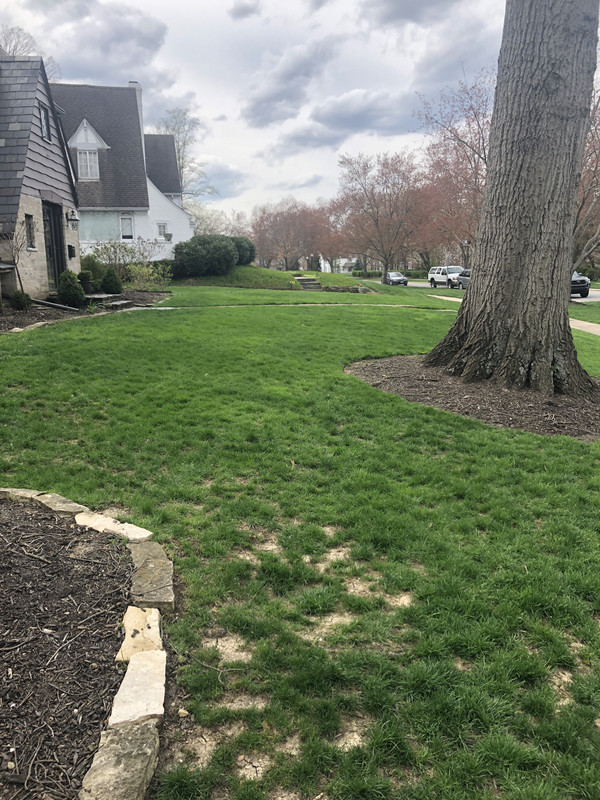 EF6A930A-65AE-4E51-93D7-E2CDAEDAA20E