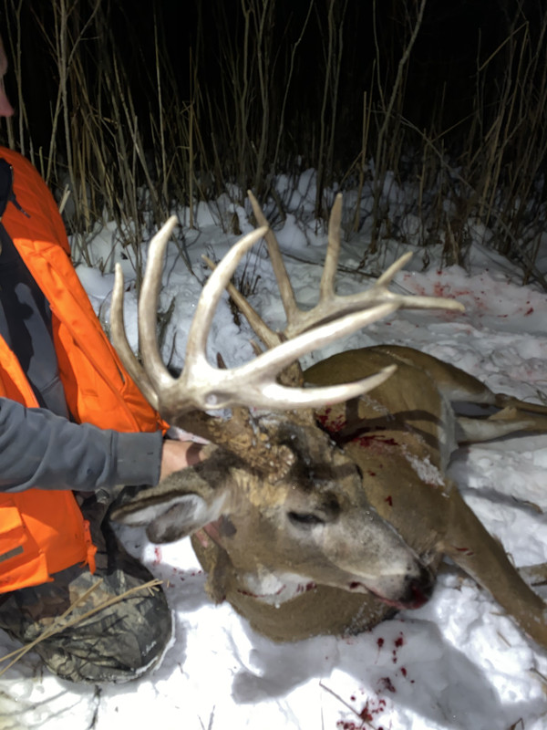 673AD6DE-CADB-40C6-9C5F-920041DFBA95