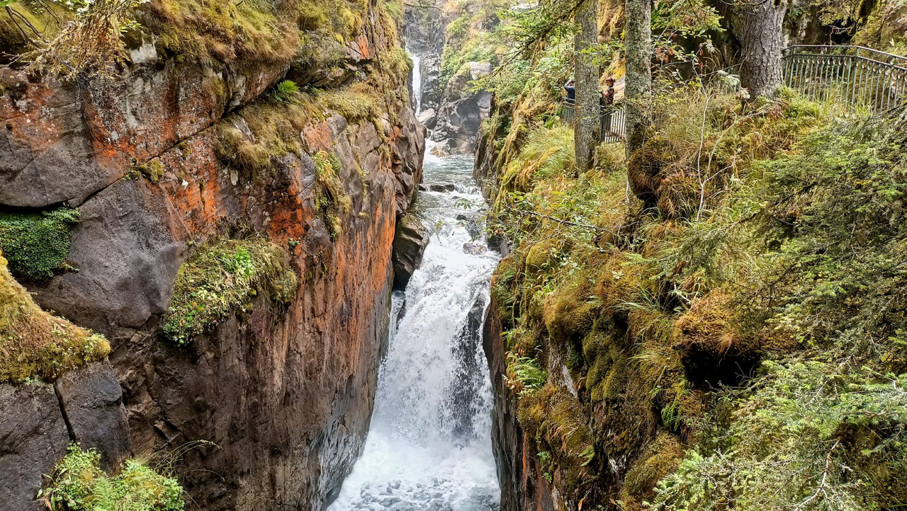 IMG20250822153349 (Large)