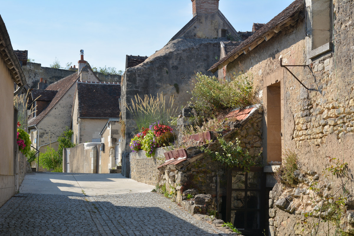 07.34 - DSC_7900 (Ater)