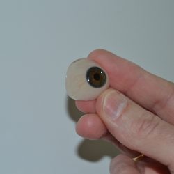 protesis-oculares-250x250.jpg